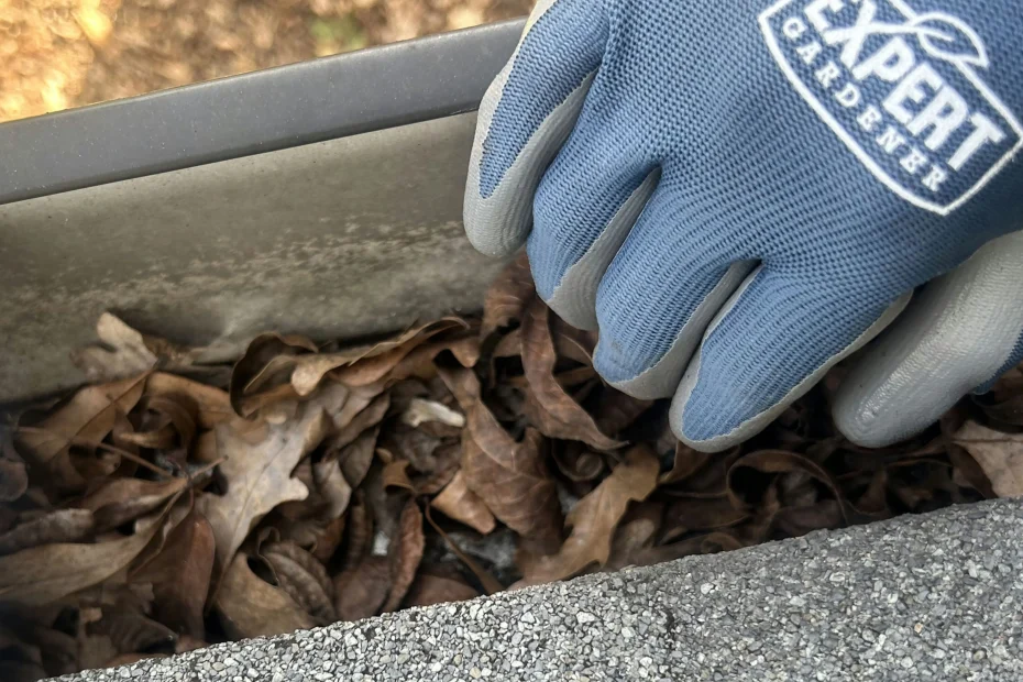 Gutter Cleaning Windsor VA