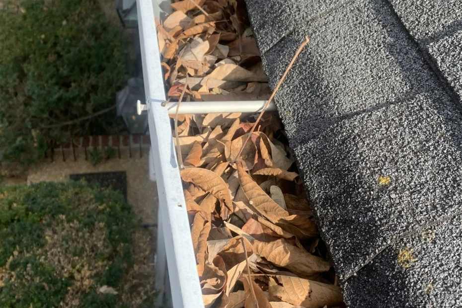 Gutter Cleaning Windsor VA