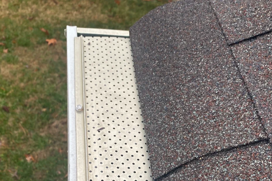 Gutter Cleaning Windsor VA