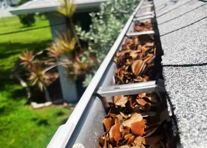 Gutter Cleaning Windsor VA home page